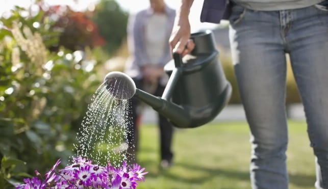 Woman watering a flower